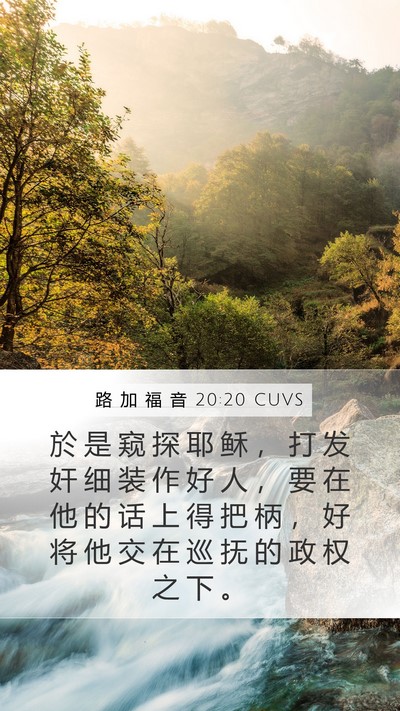 路 加 福 音 20:20 CUVS Bible Verse Image