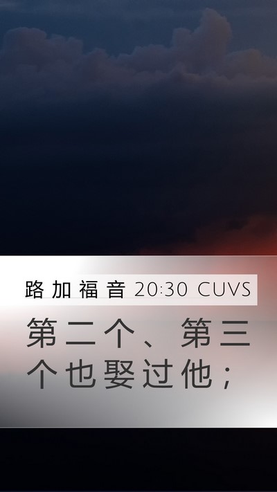 路 加 福 音 20:30 CUVS Mobile Phone Wallpaper - 第 二 个 、 第 三 个 也 娶 过 他 - Mobile Bible Verse Wallpaper