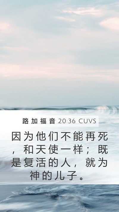 路 加 福 音 20:36 CUVS Mobile Phone Wallpaper - 因 为 他 们 不 能 再 死 ， 和 天 使 - Mobile Bible Verse Wallpaper