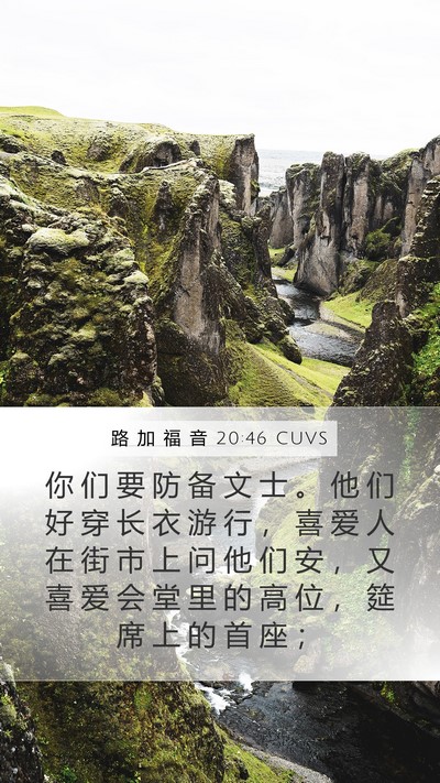 路 加 福 音 20:46 CUVS Bible Verse Image