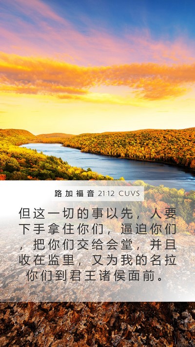 路 加 福 音 21:12 CUVS Bible Verse Image