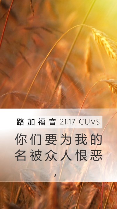 路 加 福 音 21:17 CUVS Mobile Phone Wallpaper - 你 们 要 为 我 的 名 被 众 人 恨 恶 - Mobile Bible Verse Wallpaper