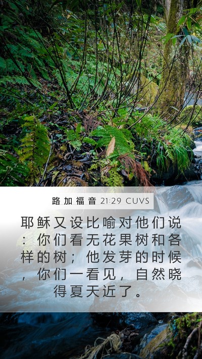 路 加 福 音 21:29 CUVS Bible Verse Image