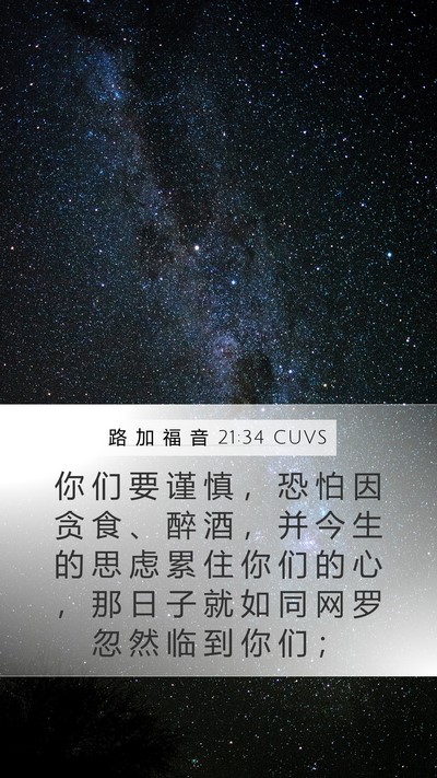 路 加 福 音 21:34 CUVS Bible Verse Image