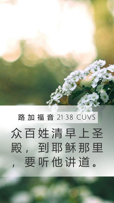 路 加 福 音 21:38 CUVS Bible Verse Image