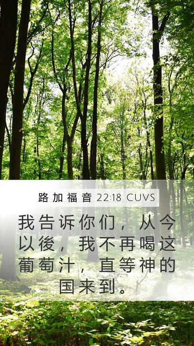 路 加 福 音 22:18 CUVS Bible Verse Image