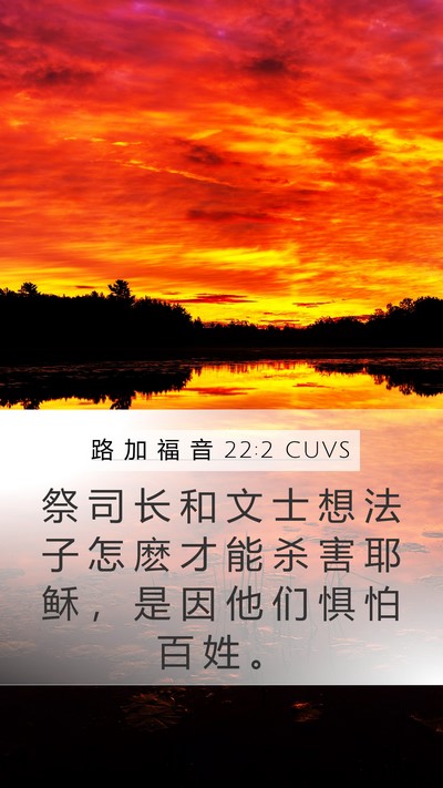 路 加 福 音 22:2 CUVS Mobile Phone Wallpaper - 祭 司 长 和 文 士 想 法 子 怎 麽 才 - Mobile Bible Verse Wallpaper