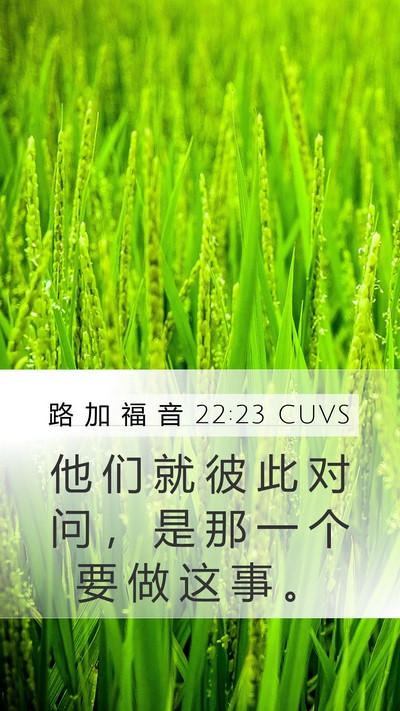 路 加 福 音 22:23 CUVS Bible Verse Image