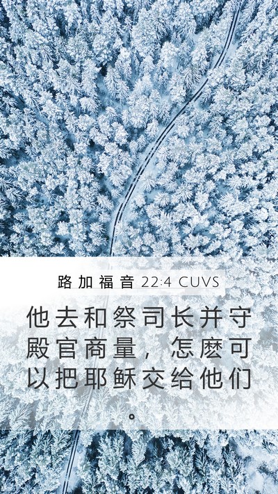 路 加 福 音 22:4 CUVS Mobile Phone Wallpaper - 他 去 和 祭 司 长 并 守 殿 官 商 量 - Mobile Bible Verse Wallpaper