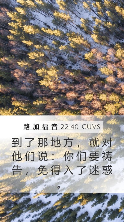 路 加 福 音 22:40 CUVS Mobile Phone Wallpaper - 到 了 那 地 方 ， 就 对 他 们 说 ： - Mobile Bible Verse Wallpaper