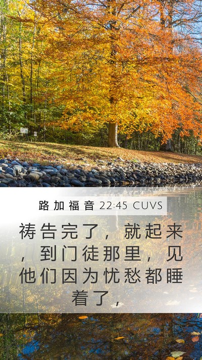 路 加 福 音 22:45 CUVS Bible Verse Image