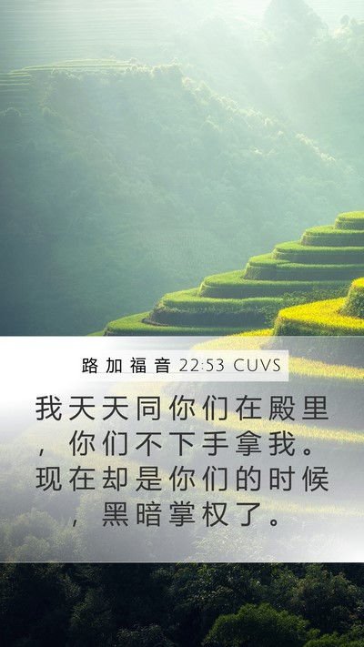 路 加 福 音 22:53 CUVS Bible Verse Image