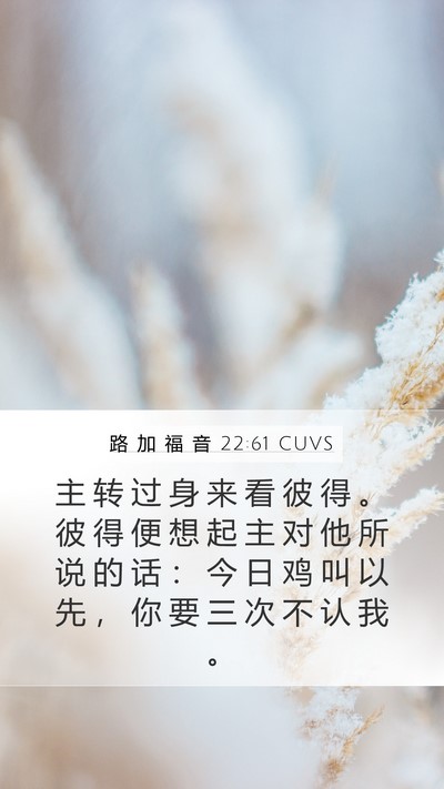 路 加 福 音 22:61 CUVS Bible Verse Image