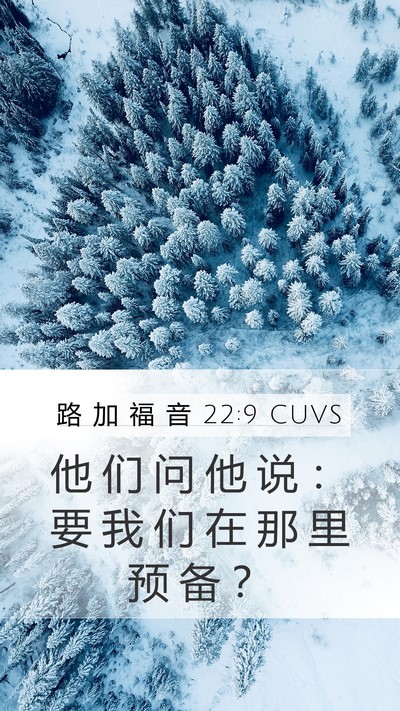 路 加 福 音 22:9 CUVS Mobile Phone Wallpaper - 他 们 问 他 说 ： 要 我 们 在 那 里 - Mobile Bible Verse Wallpaper