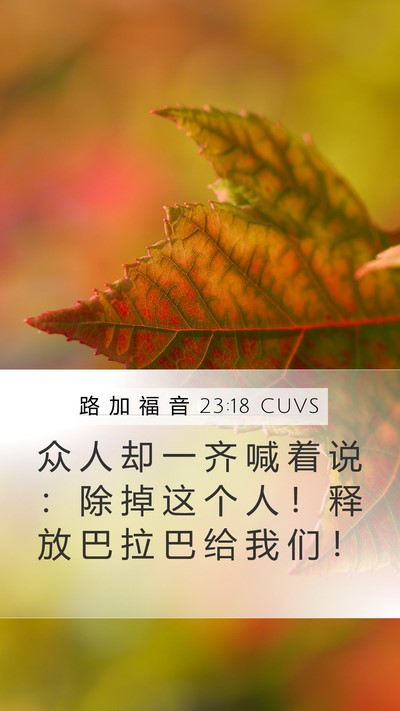 路 加 福 音 23:18 CUVS Mobile Phone Wallpaper - 众 人 却 一 齐 喊 着 说 ： 除 掉 这 - Mobile Bible Verse Wallpaper