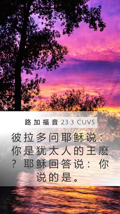 路 加 福 音 23:3 CUVS Bible Verse Image