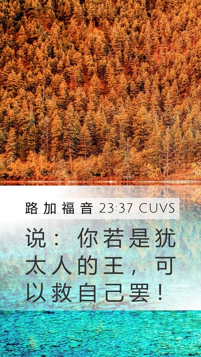 路 加 福 音 23:37 CUVS Bible Verse Image