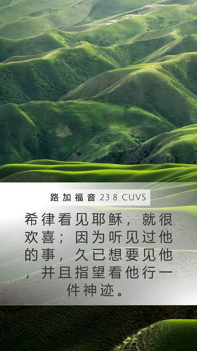 路 加 福 音 23:8 CUVS Bible Verse Image