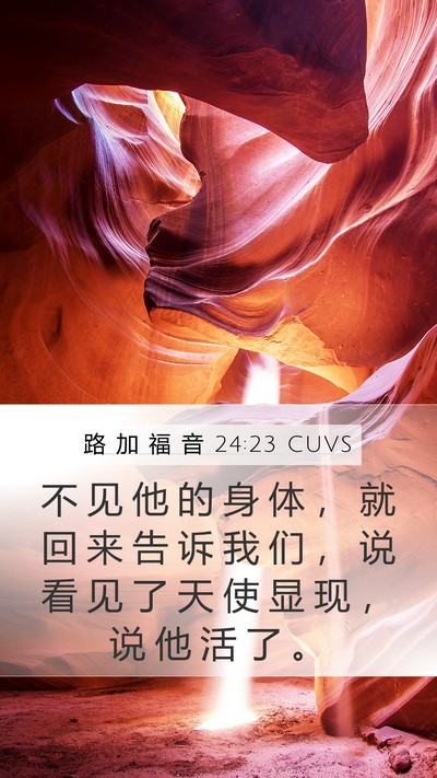 路 加 福 音 24:23 CUVS Bible Verse Image