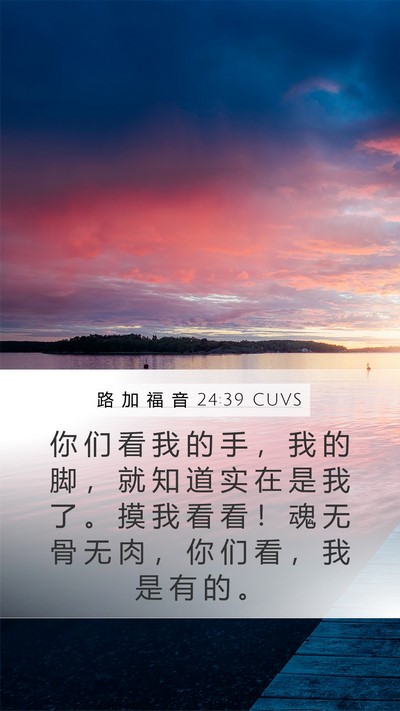 路 加 福 音 24:39 CUVS Bible Verse Image