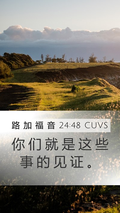 路 加 福 音 24:48 CUVS Bible Verse Image
