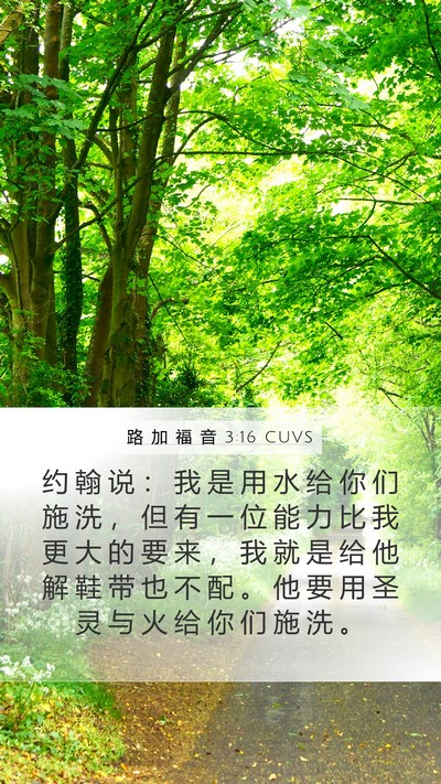 路 加 福 音 3:16 CUVS Bible Verse Image