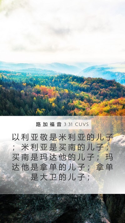 路 加 福 音 3:31 CUVS Bible Verse Image