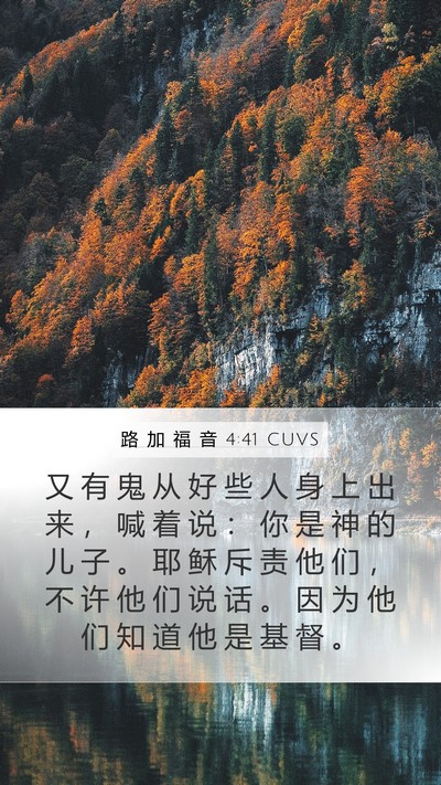 路 加 福 音 4:41 CUVS Bible Verse Image
