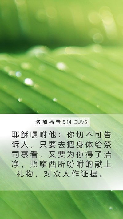 路 加 福 音 5:14 CUVS Bible Verse Image