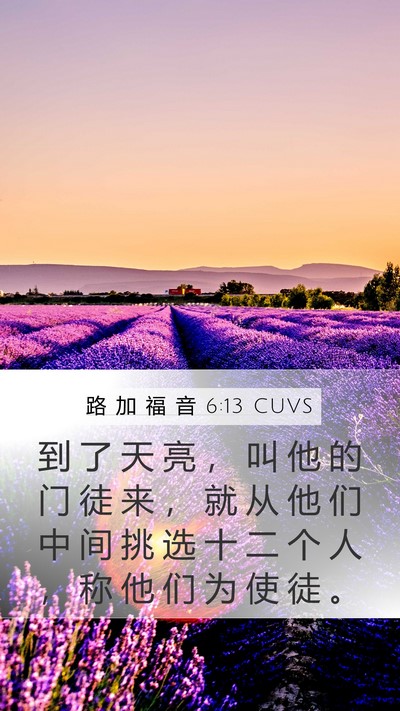 路 加 福 音 6:13 CUVS Bible Verse Image