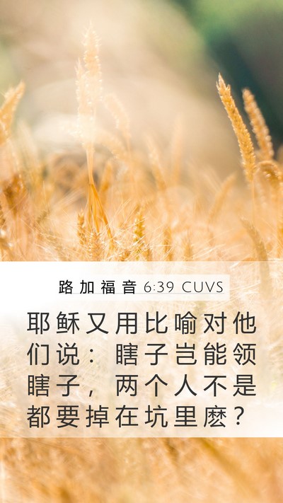 路 加 福 音 6:39 CUVS Bible Verse Image