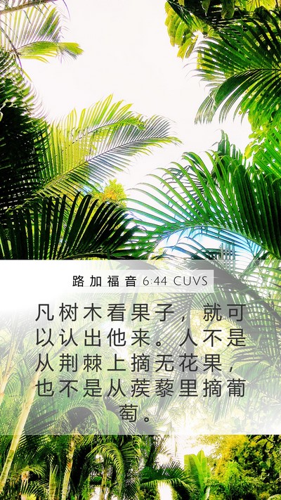路 加 福 音 6:44 CUVS Bible Verse Image