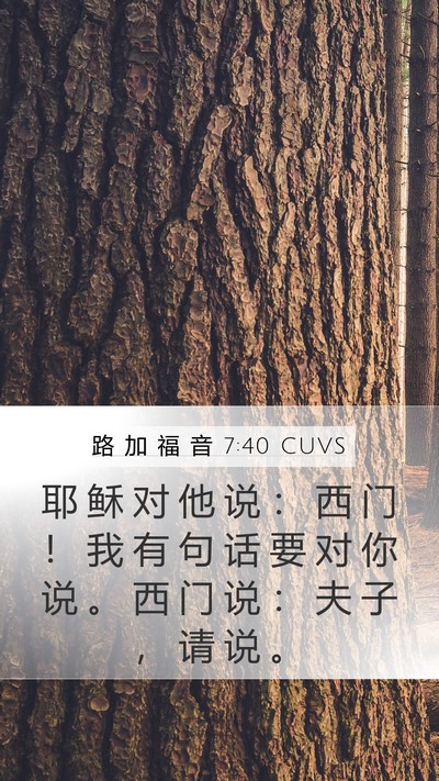 路 加 福 音 7:40 CUVS Mobile Phone Wallpaper - 耶 稣 对 他 说 ： 西 门 ！ 我 有 句 - Mobile Bible Verse Wallpaper