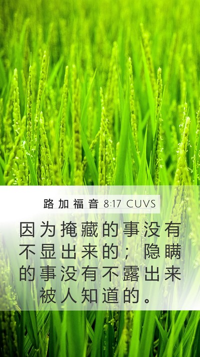 路 加 福 音 8:17 CUVS Mobile Phone Wallpaper - 因 为 掩 藏 的 事 没 有 不 显 出 来 - Mobile Bible Verse Wallpaper