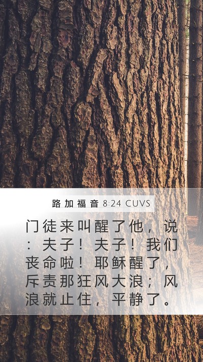 路 加 福 音 8:24 CUVS Bible Verse Image