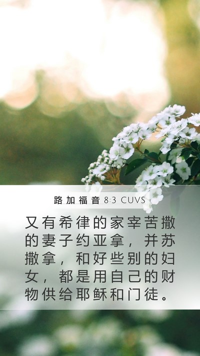 路 加 福 音 8:3 CUVS Bible Verse Image
