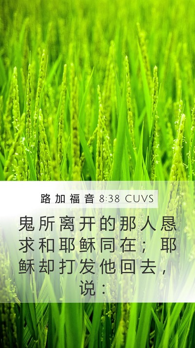路 加 福 音 8:38 CUVS Mobile Phone Wallpaper - 鬼 所 离 开 的 那 人 恳 求 和 耶 稣 - Mobile Bible Verse Wallpaper