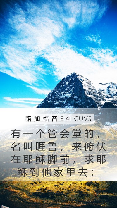 路 加 福 音 8:41 CUVS Bible Verse Image