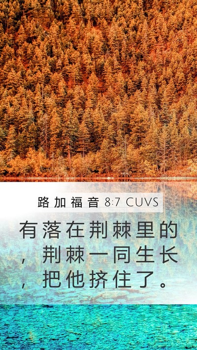 路 加 福 音 8:7 CUVS Bible Verse Image