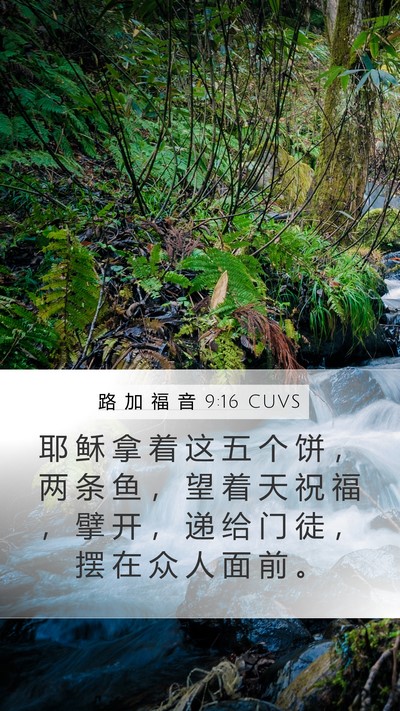 路 加 福 音 9:16 CUVS Bible Verse Image