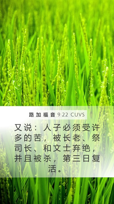 路 加 福 音 9:22 CUVS Bible Verse Image