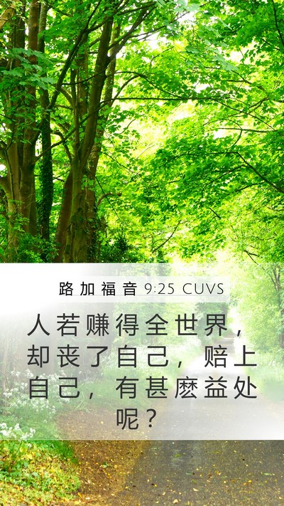路 加 福 音 9:25 CUVS Mobile Phone Wallpaper - 人 若 赚 得 全 世 界 ， 却 丧 了 自 - Mobile Bible Verse Wallpaper