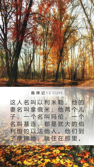 路 得 记 1:2 CUVS Bible Verse Image