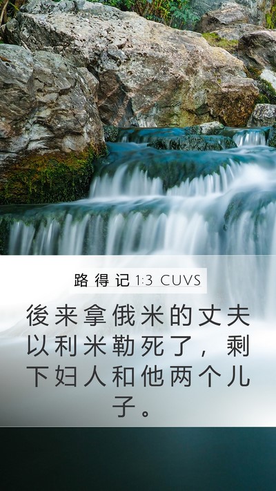 路 得 记 1:3 CUVS Mobile Phone Wallpaper - 後 来 拿 俄 米 的 丈 夫 以 利 米 勒 - Mobile Bible Verse Wallpaper