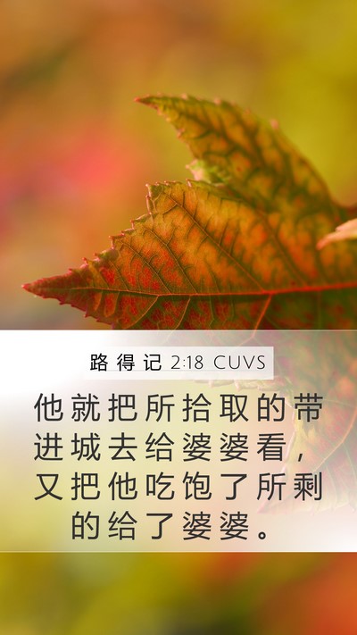 路 得 记 2:18 CUVS Bible Verse Image