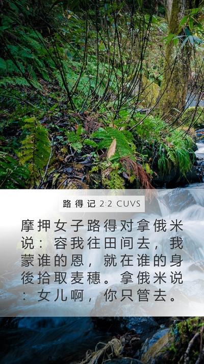 路 得 记 2:2 CUVS Mobile Phone Wallpaper - 摩 押 女 子 路 得 对 拿 俄 米 说 ： - Mobile Bible Verse Wallpaper