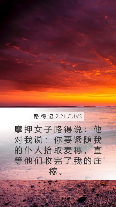 路 得 记 2:21 CUVS Mobile Phone Wallpaper - 摩 押 女 子 路 得 说 ： 他 对 我 说 - Mobile Bible Verse Wallpaper