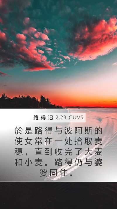 路 得 记 2:23 CUVS Bible Verse Image
