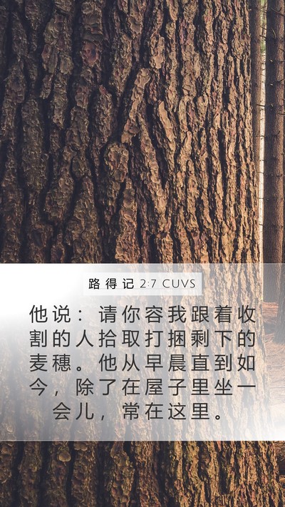 路 得 记 2:7 CUVS Bible Verse Image