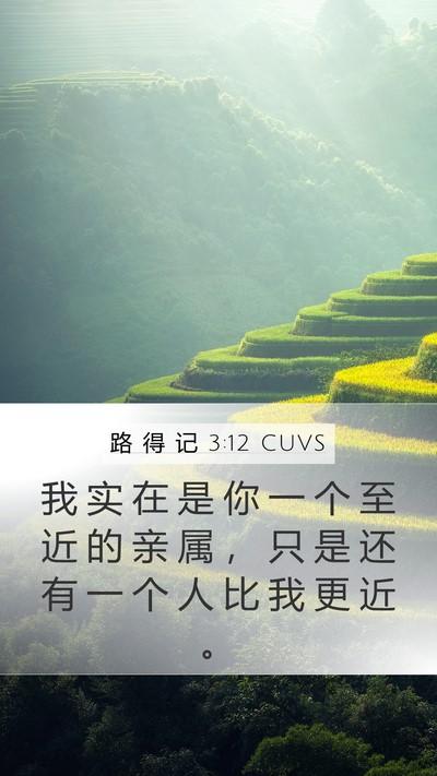路 得 记 3:12 CUVS Bible Verse Image